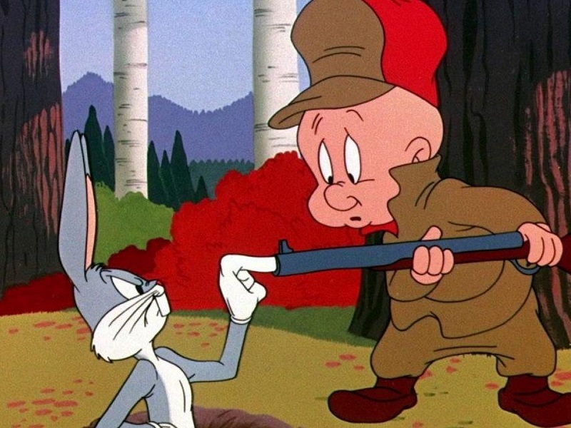 Looney Tunes All Hindi Episodes Download